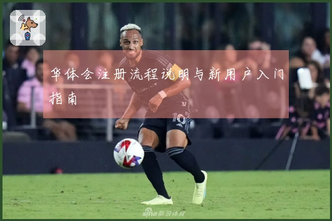 华体会注册流程说明与新用户入门指南